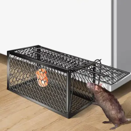 Foldable Mouse Trap Squirrel Trap Small Live Animal Trap Mouse Voles Hamsters Live Cage Rat Mouse Cage Trap for Mice Easy to Catch and Release ( default, SMALL ).