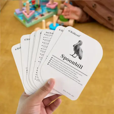 KidKraft Early Learner Educational Flashcards – 32 Birds Identification Cards ( default, OS )