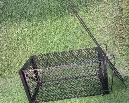 Foldable Mouse Trap Squirrel Trap Small Live Animal Trap Mouse Voles Hamsters Live Cage Rat Mouse Cage Trap for Mice Easy to Catch and Release ( default, SMALL ).