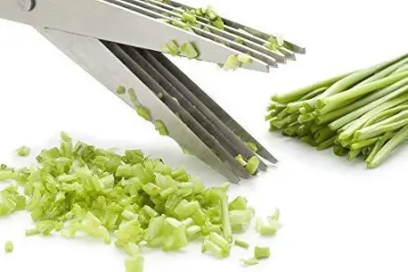 Multifunction Vegetable Stainless Steel Herbs Scissor with 5 Blades ( default, Standard ).