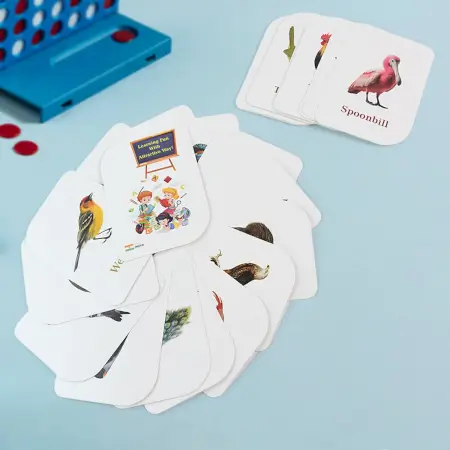 KidKraft Early Learner Educational Flashcards – 32 Birds Identification Cards ( default, OS )