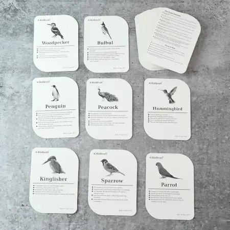 KidKraft Early Learner Educational Flashcards – 32 Birds Identification Cards ( default, OS )